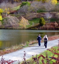 Adelaide Hills